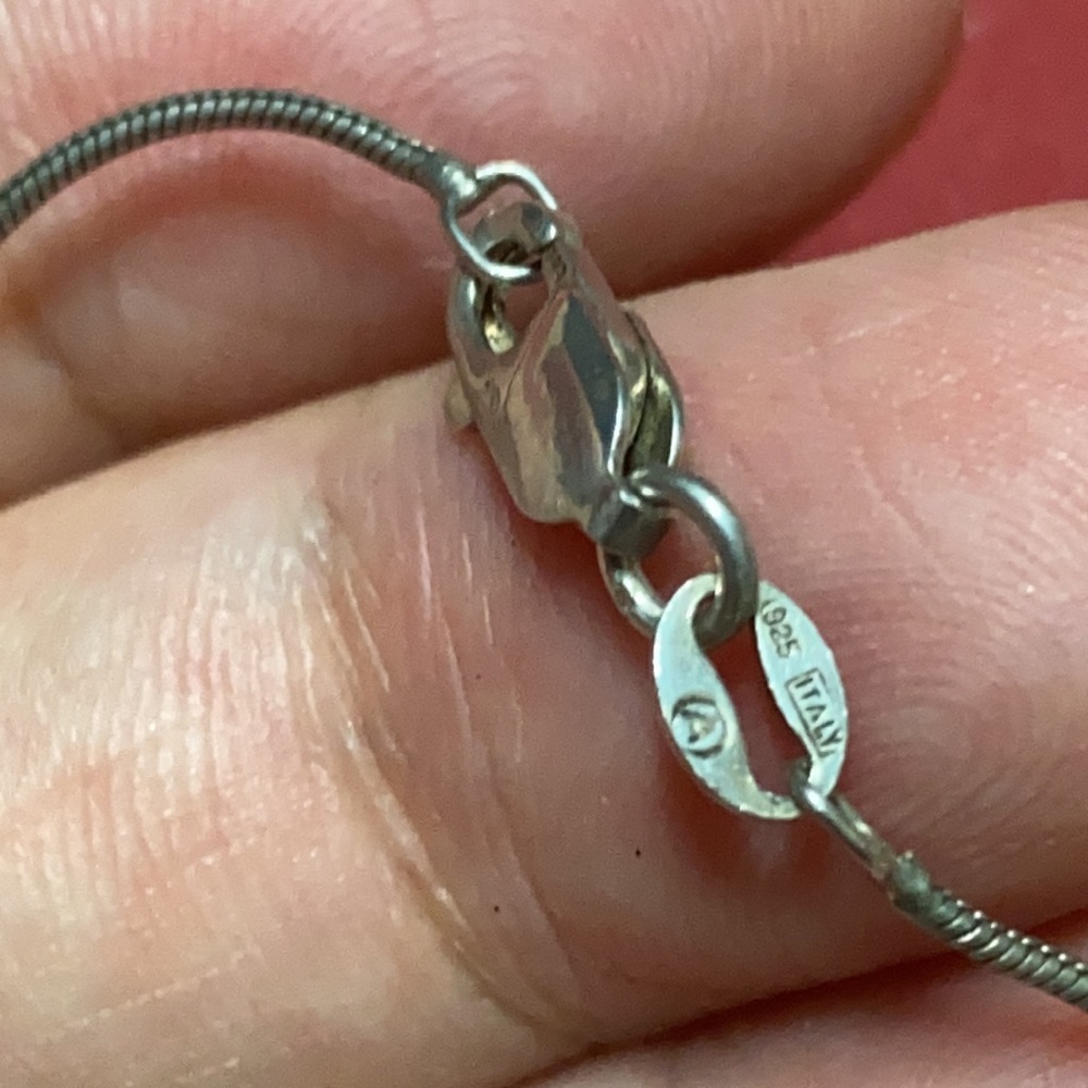 Native Americanturtle Silver Necklace - image 8